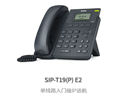 vwinӮSIP-T19